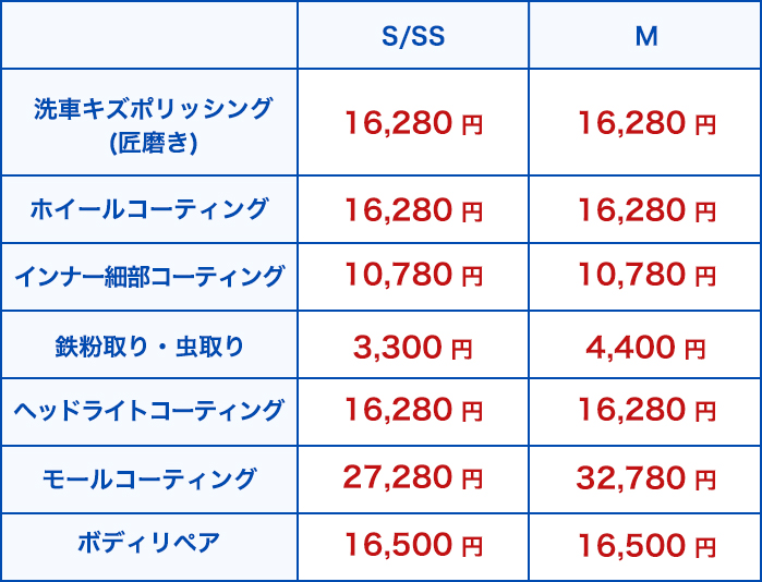 オプション項目の表1