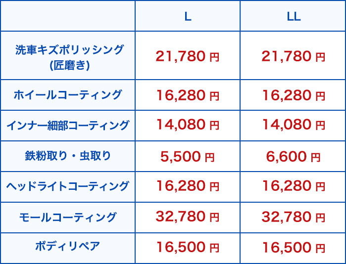 オプション項目の表2