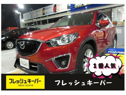 ★一番人気★フレッシュキーパー
