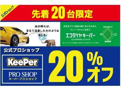 【20%OFF】エコダイヤキーパー
