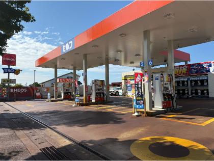 ミューズさん向かいです！