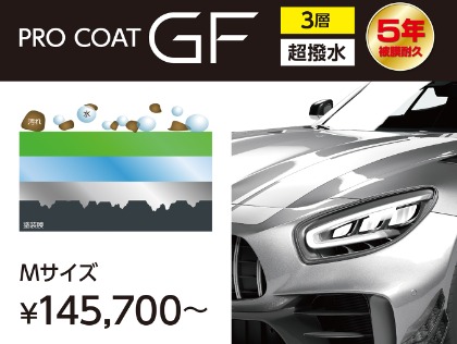 ˗ˏˋ６年耐久ˎˊ˗ 三層構造ボディガラスコーティング