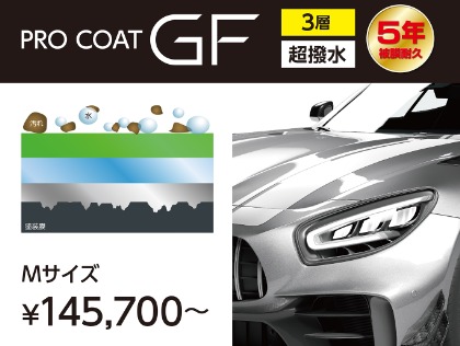 ˗ˏˋ６年耐久ˎˊ˗ 三層構造ボディガラスコーティング