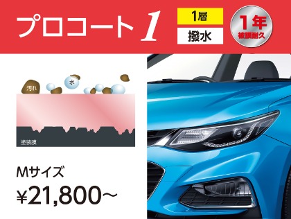 ˗ˏˋ１年耐久ˎˊ˗ ガラス樹脂コーティング