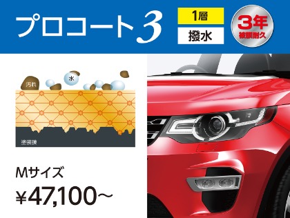 ˗ˏˋ３年耐久ˎˊ˗ ガラス系ボディコーティング