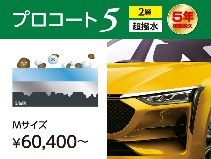 ˗ˏˋ５ˎˊ˗年耐久ボディガラスコーティング