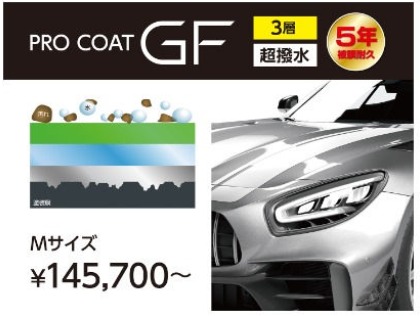 ˗ˏˋ６年耐久ˎˊ˗ 三層構造ボディガラスコーティング