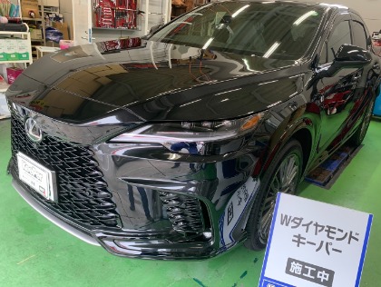 Wダイヤモンドキーパー