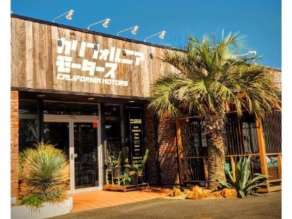 どんなお車でもお任せ下さい