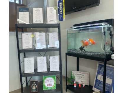 資格者多数在籍　楽天洗車・コーティングアワード3年連続受賞