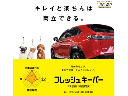 1年耐久！雨が降ったら、勝手にキレイ！
