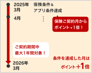 3月に自動車保険に新規契約いただいた場合、保険ご契約月からポイント＋1倍が適用になります。