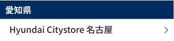 愛知県　Hyundai Citystore 名古屋