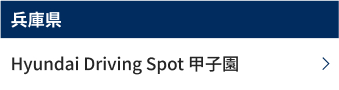 兵庫県　Hyundai Driving Spot 甲子園