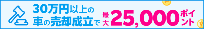 30万円以上の車の売却成立で最大2,5000ポイント