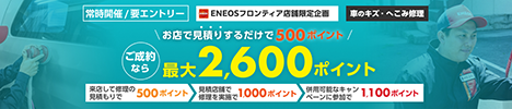 【楽天Carキズ修理】キズ修理も楽天でオトクに！