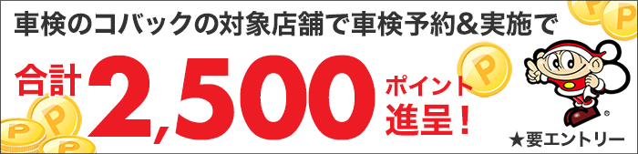 車検実施して2,500ポイントもらえる！キャンペーン