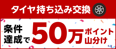 タイヤ持ち込み交換 条件達成で50万ポイント山分け